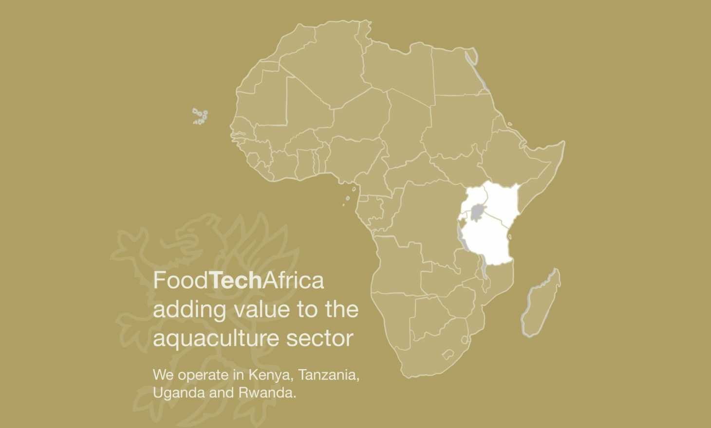 Lattice Nairobi Roll Up Banner Design Wit Design Kenya