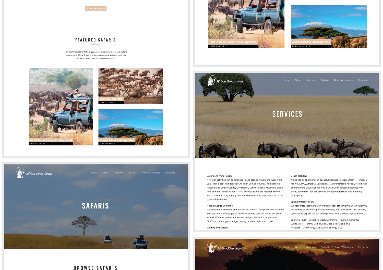 All Over Africa Safaris website design 2